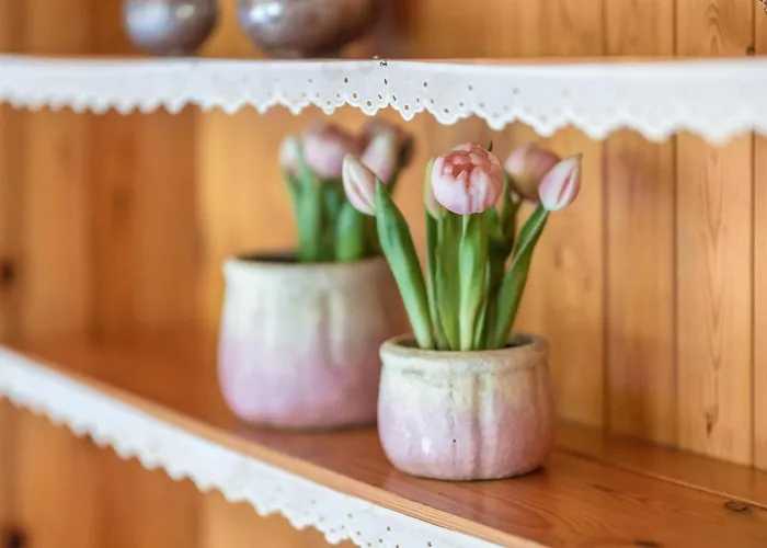 Apartment Schanze 17 Schmallenberg